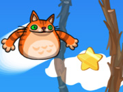 Click to Play Angry Cat