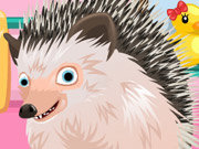 Click to Play Cute Hedgehog