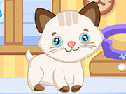Click to Play Cutie Pet Care 2