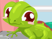 Click to Play Gecko Care