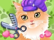 Click to Play Kitty Groomer