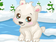 Click to Play Polar Bear Care