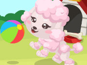Click to Play Poodle Care