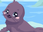 Click to Play Seal Care